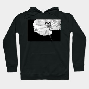 Poppy Hoodie